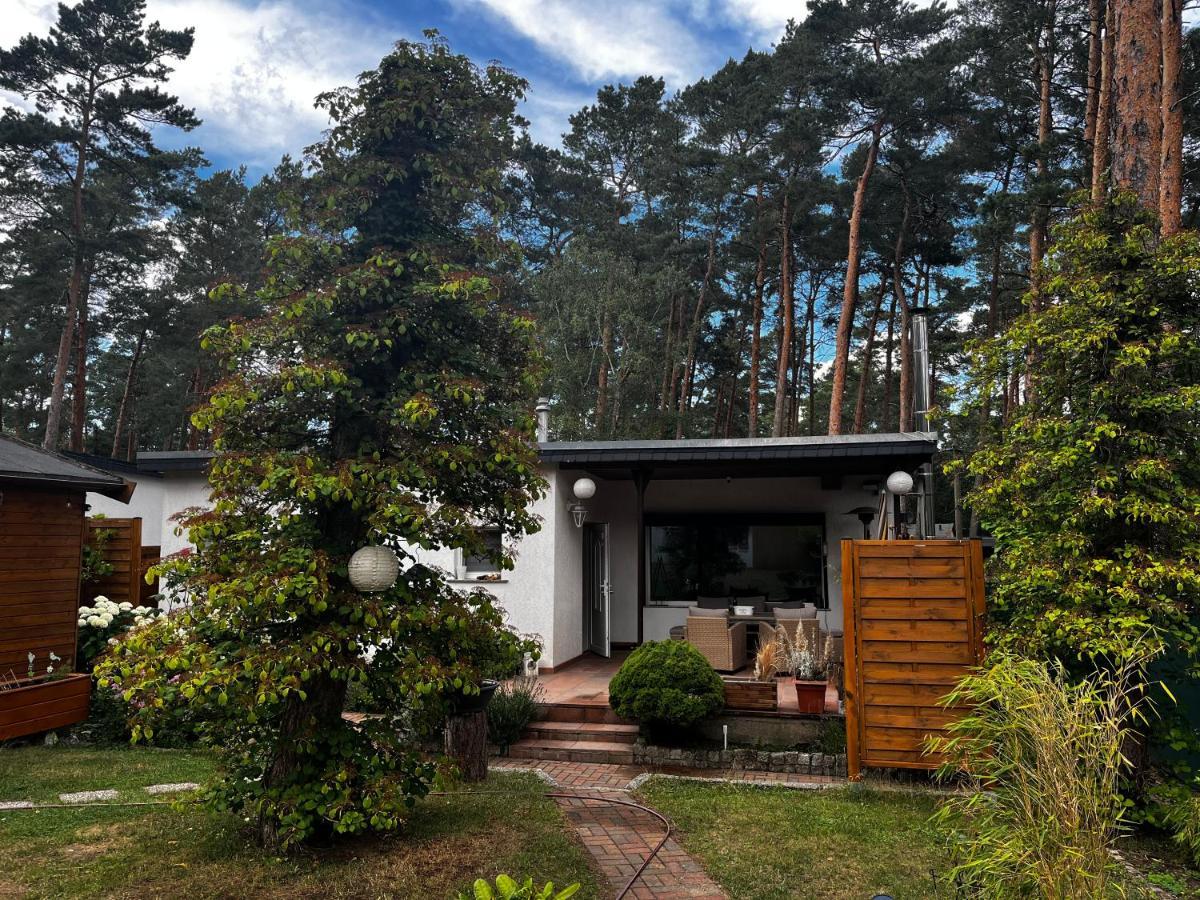 Kiefernblick Vila Plotzky Exterior foto