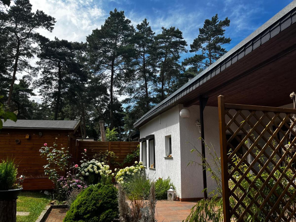 Kiefernblick Vila Plotzky Exterior foto
